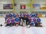 01.02.2015 Hockeyplausch