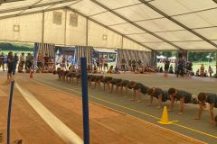 IMG-20230617-WA0071