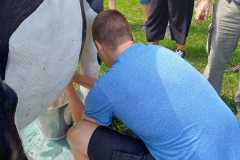 IMG-20230716-WA0058