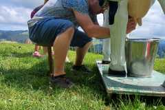 IMG-20230716-WA0066