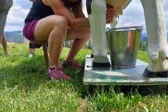 IMG-20230716-WA0068