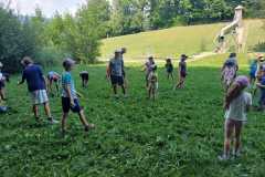 IMG-20250819-WA0022