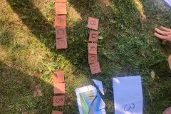 IMG-20250819-WA0177