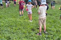 IMG-20250819-WA0183