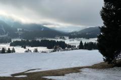 98252e12-f197-47e1-a493-bed2c2a0cba7