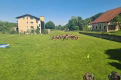 1fa25e51-99f3-49d4-94fb-470bcc7cd397