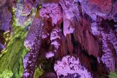 1355cdb5-61f7-4504-95c8-e35d2e2e8539