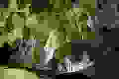 9ec33e2c-33e2-4022-878d-950ec1bb9267