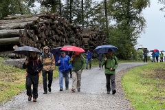 Wanderung-Planetenweg-Richtung-Uetliberg
