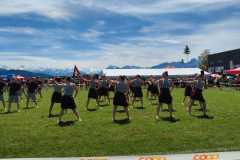 WhatsApp-Bild-2025-05-31-um-19.01.49_16fcdde6