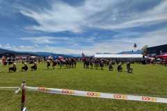 WhatsApp-Bild-2025-05-31-um-19.01.50_8206a0a1