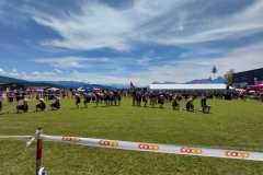 WhatsApp-Bild-2025-05-31-um-19.01.50_d21e9fda