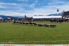 WhatsApp-Bild-2025-05-31-um-19.01.51_0c691481