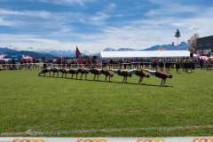 WhatsApp-Bild-2025-05-31-um-19.01.51_9d752182