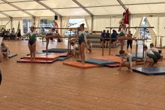 IMG_9392-scaled
